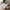 FloraTassel Vintage Cloth
TasselBloom Tablecloth
VintagePetal Tassel Cover
RetroFloral Tassel Linen
ClassicTassel Floral Cloth