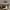 Large Ceiling Fan with Light
Oversized Ceiling Fan Lamp
Big Ceiling Fan Light Fixture
XL Ceiling Fan with LED Lamp
Modern Large Fan Light Combo