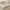 Tablecloth Coffee Table Dining Table Dust-proof Simple Style Atmosphere Tablecloth