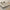 Tablecloth Coffee Table Dining Table Dust-proof Simple Style Atmosphere Tablecloth